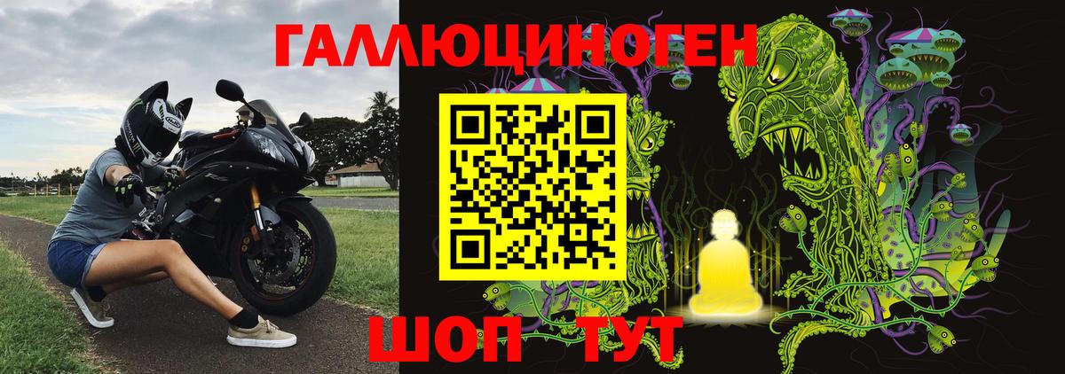Псилоцибиновые грибы прущие грибы Туапсе