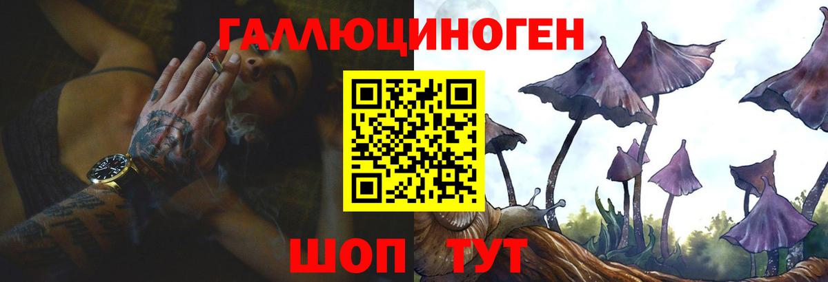 Туапсе  даркнет сайт  Вход с VPN  Псилоцибиновые грибы Psilocybe  Галлюциногенные грибы GOLDEN TEACHER 